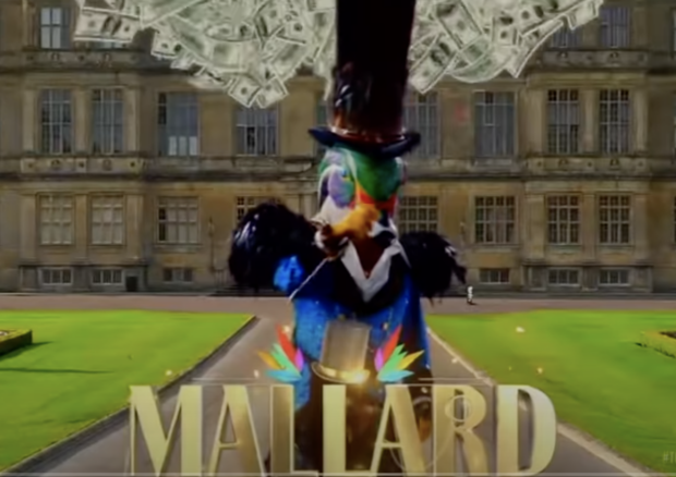 mallard the masked singer