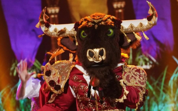 the masked singer